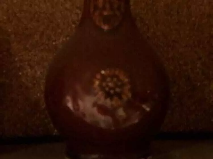 בית מלון כפרי Garni Schäfer