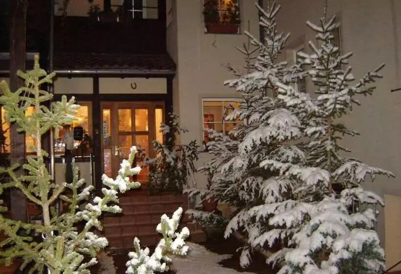 Отель Zum Stadttor