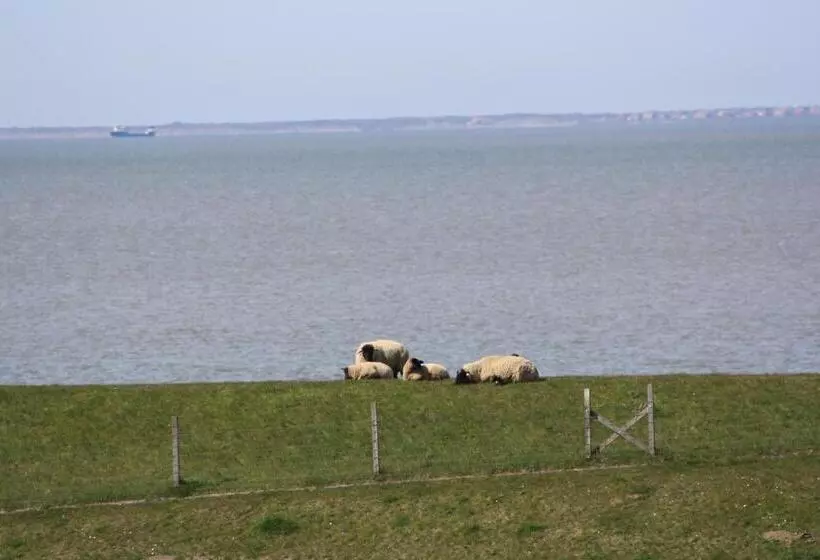 호텔 Gasthof Großer Krug