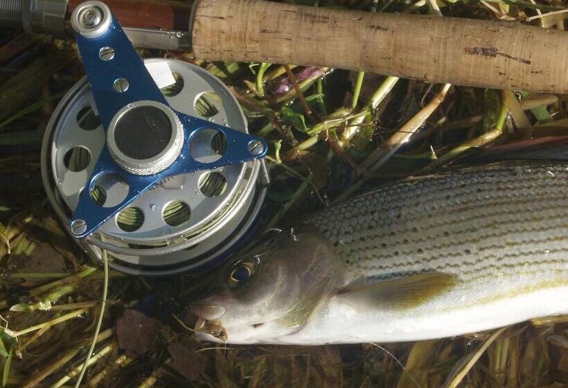 Landidyll Hotel Haus Hochstein