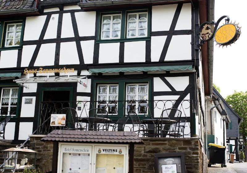 Отель Haus Sonnenschein & Galerie