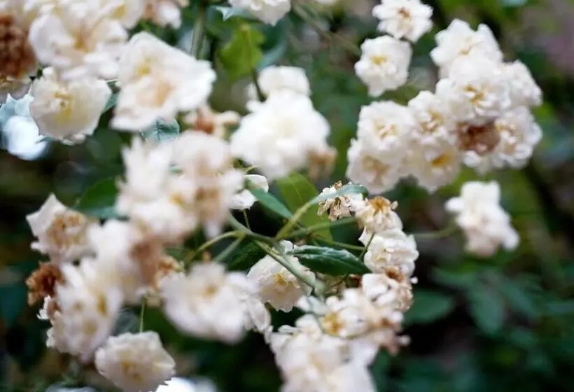 فندق Im Kupferkessel