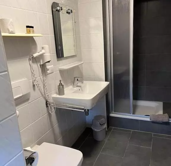 Отель Pension Lydia