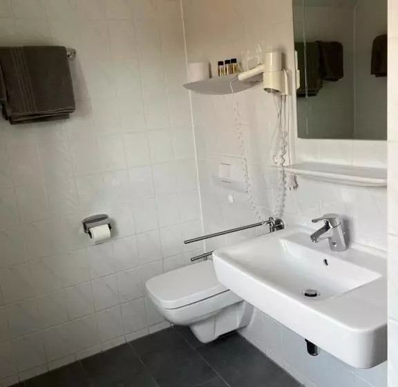 Отель Pension Lydia