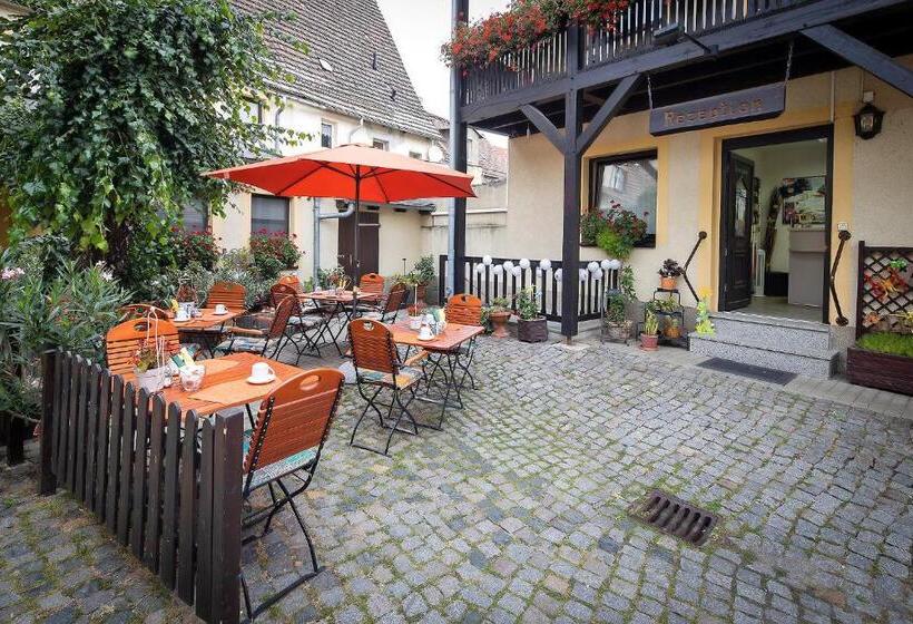 酒店 Pension Zum Markt