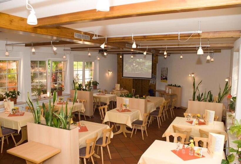 ホテル & Restaurant Zur Weintraube