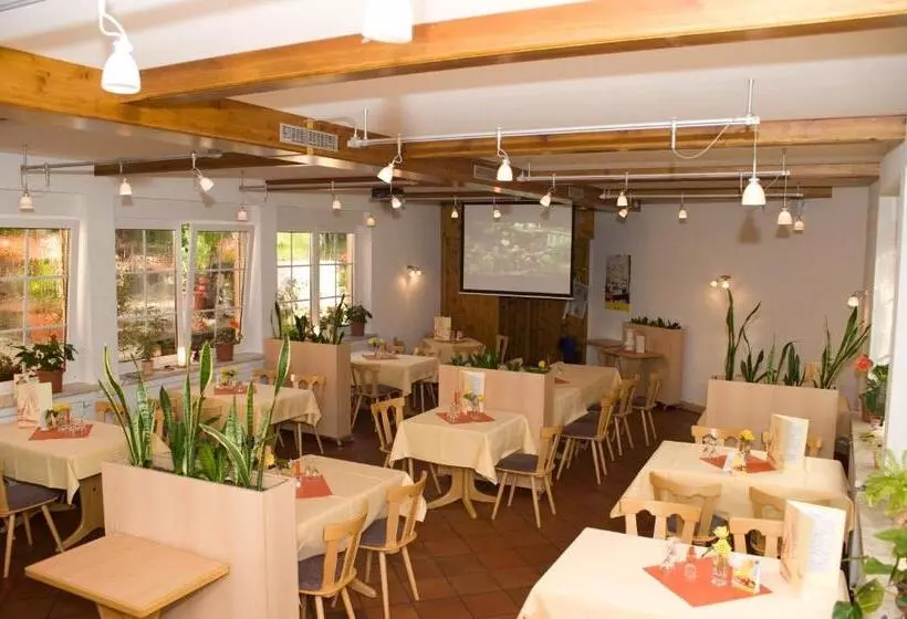 Отель & Restaurant Zur Weintraube