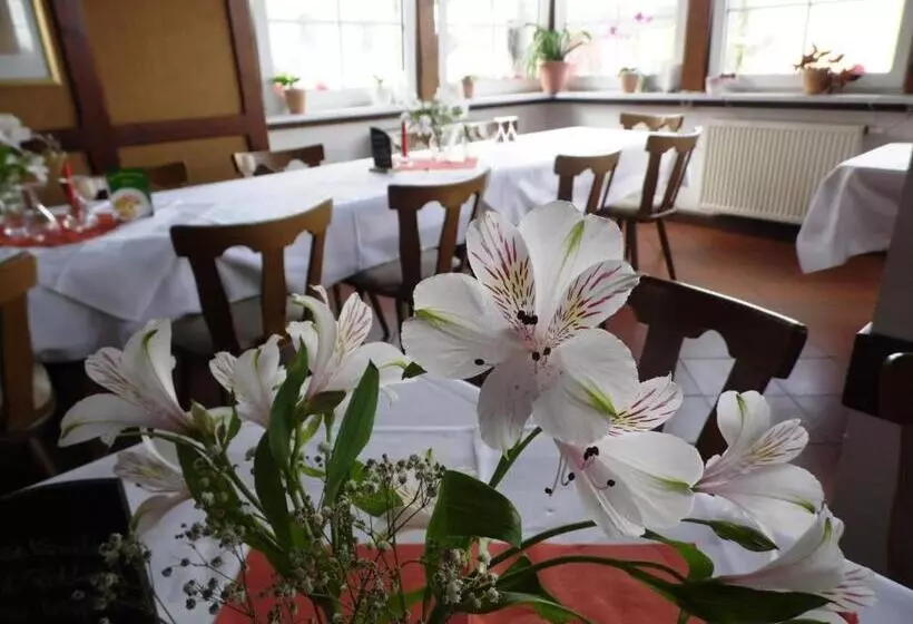 Отель & Restaurant Zur Weintraube