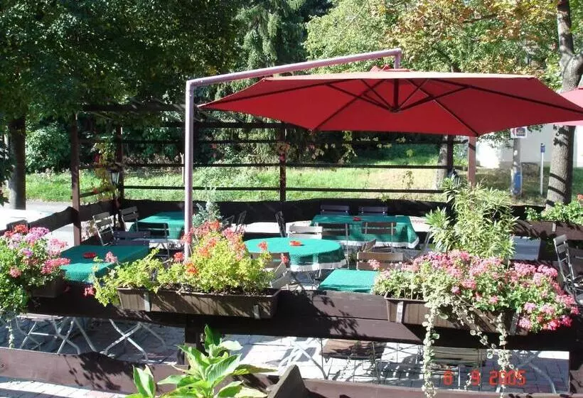 Отель & Restaurant Zur Weintraube