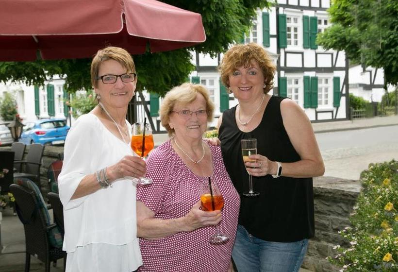 酒店 Zur Alten Quelle