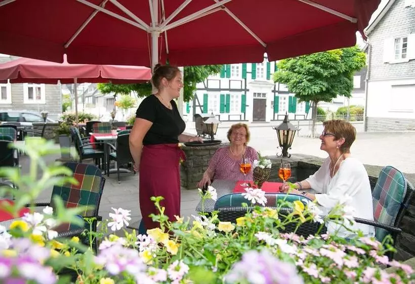 בית מלון כפרי Zur Alten Quelle