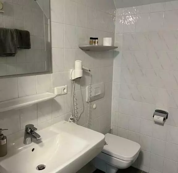 Отель Pension Lydia