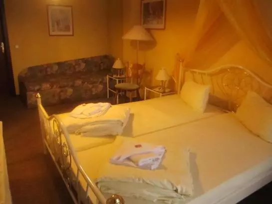 Meister Bär Hotel Thüringer Wald