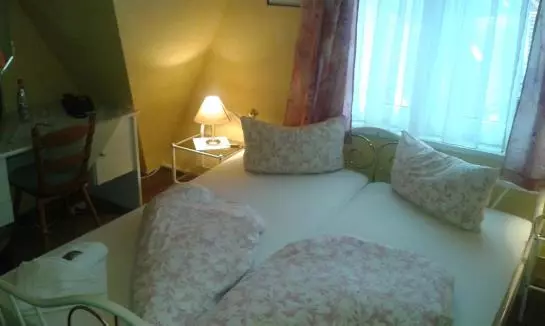 Meister Bär Hotel Thüringer Wald