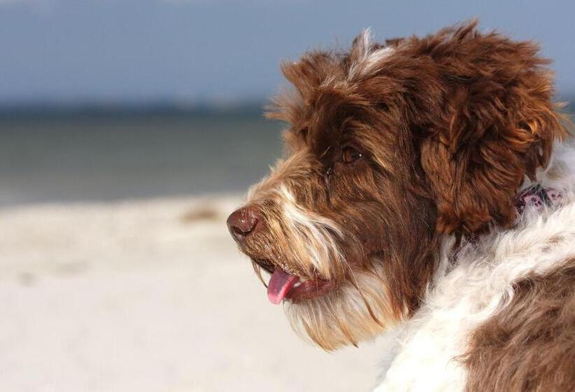 Michels Gästehaus Meerzeit