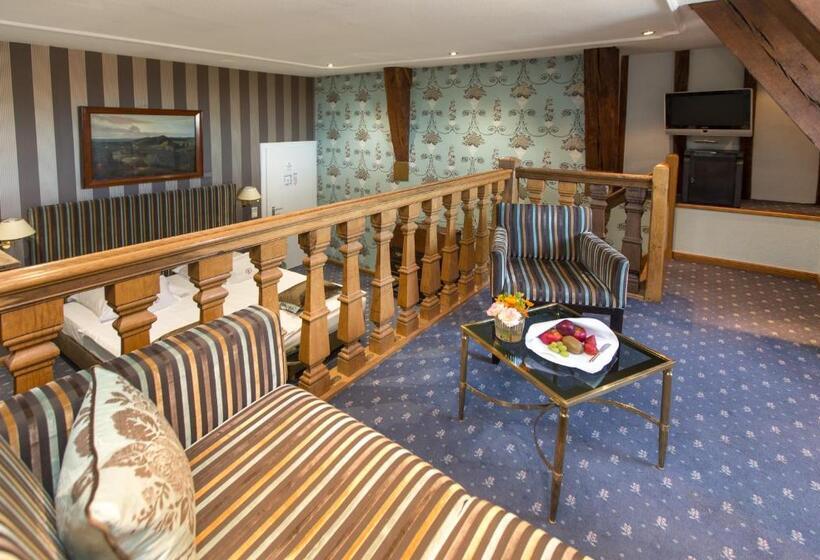 Romantik Parkhotel Wasserburg Anholt