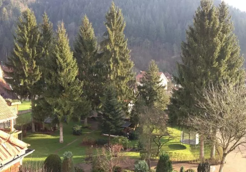 ベッドアンドブレックファースト Garni Café Schacher