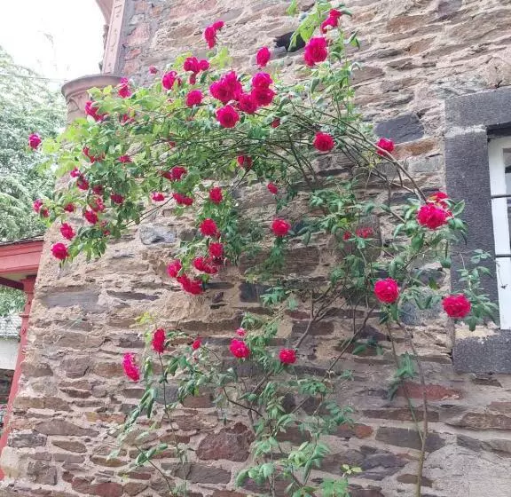 민박 Pension Marienhof