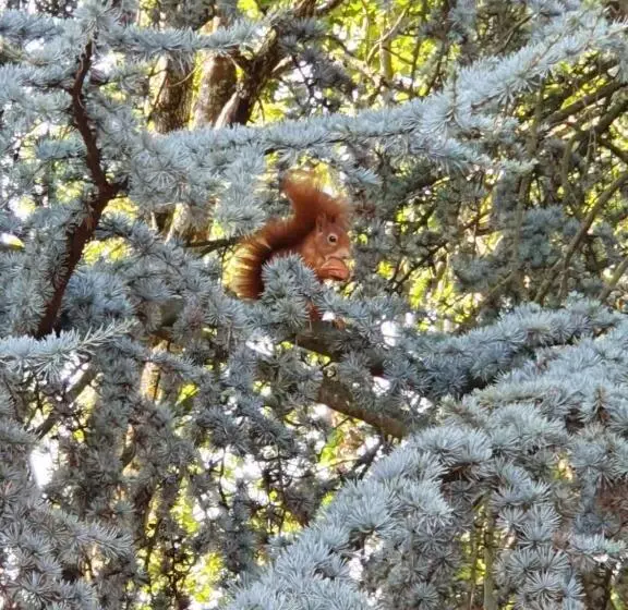 민박 Pension Marienhof