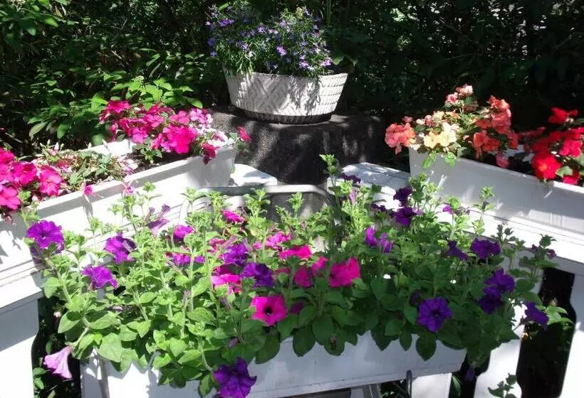 민박 Pension Marienhof