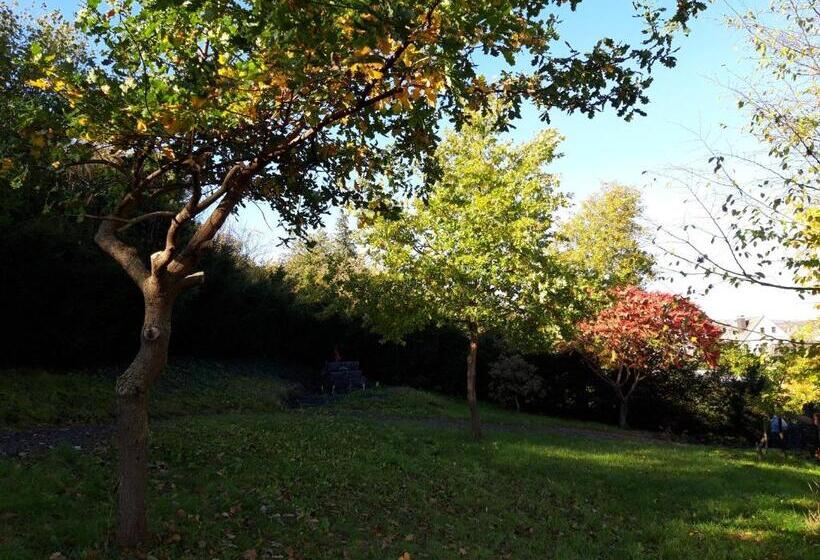 Bengel S Hotel Zur Krone