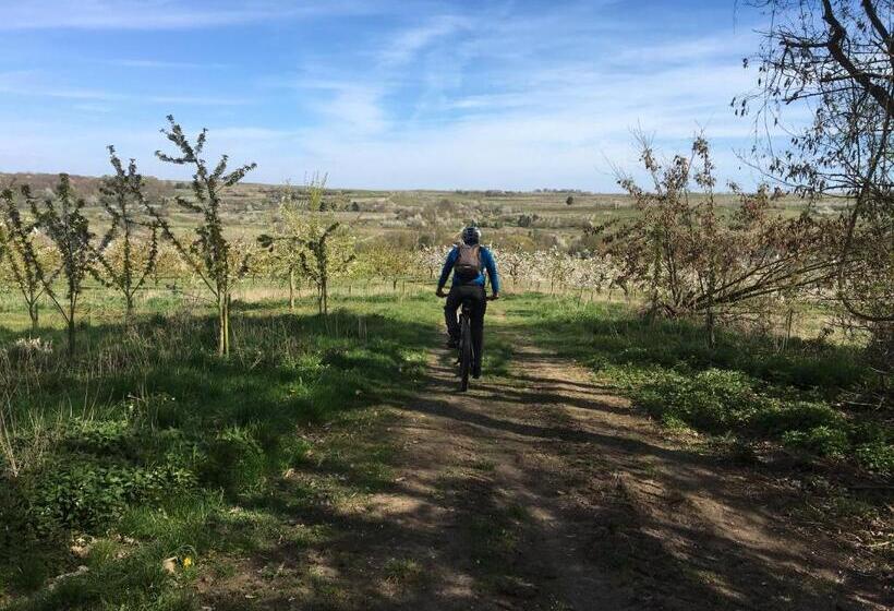 Bengel S Hotel Zur Krone