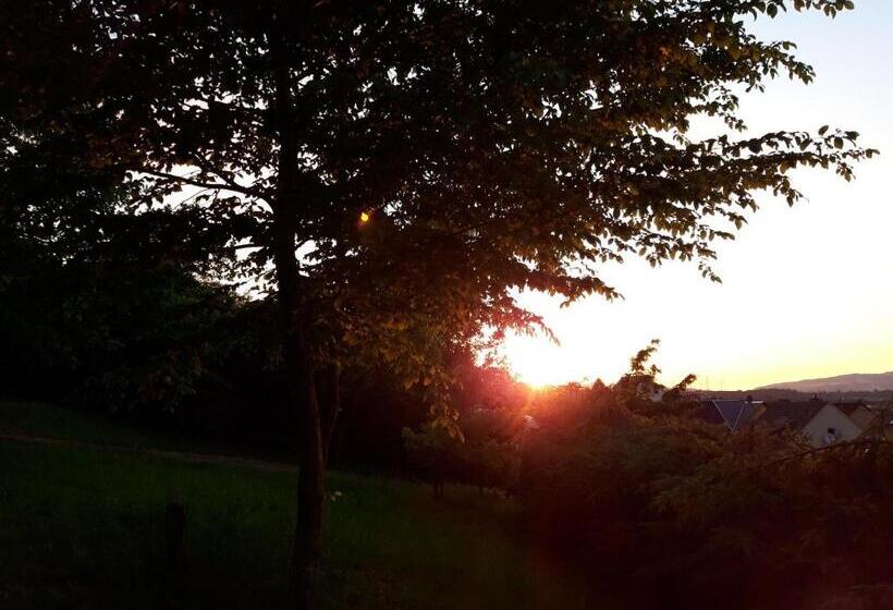 Bengel S Hotel Zur Krone