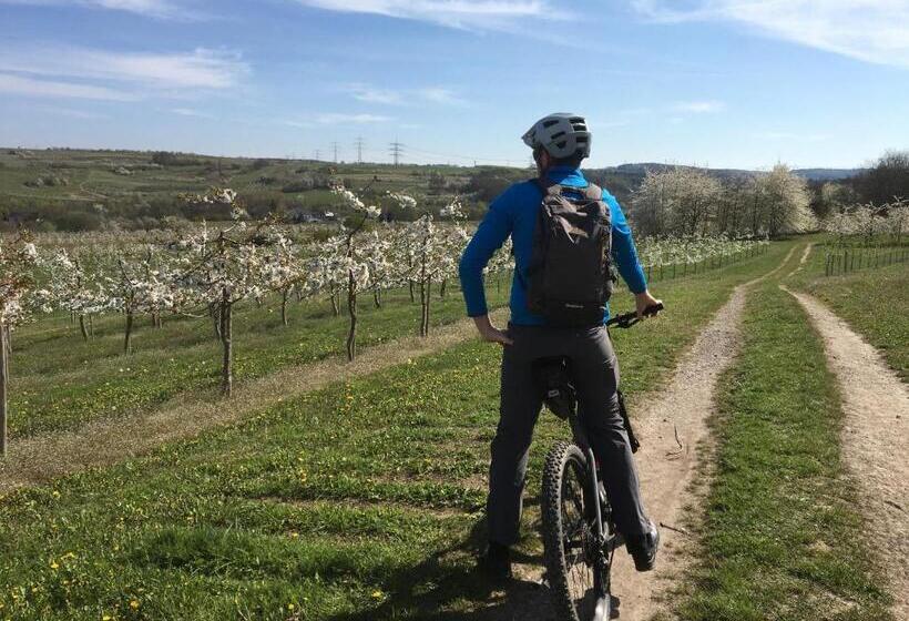 Bengel S Hotel Zur Krone