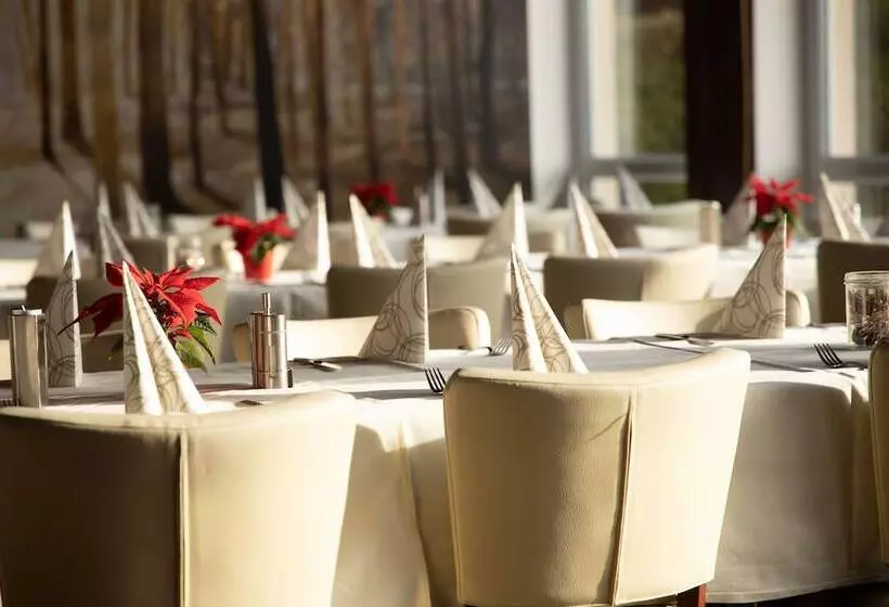 Bergwirtschaft Wilder Mann Hotel Und Restaurant