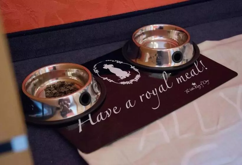 C You Hotel Chemnitz