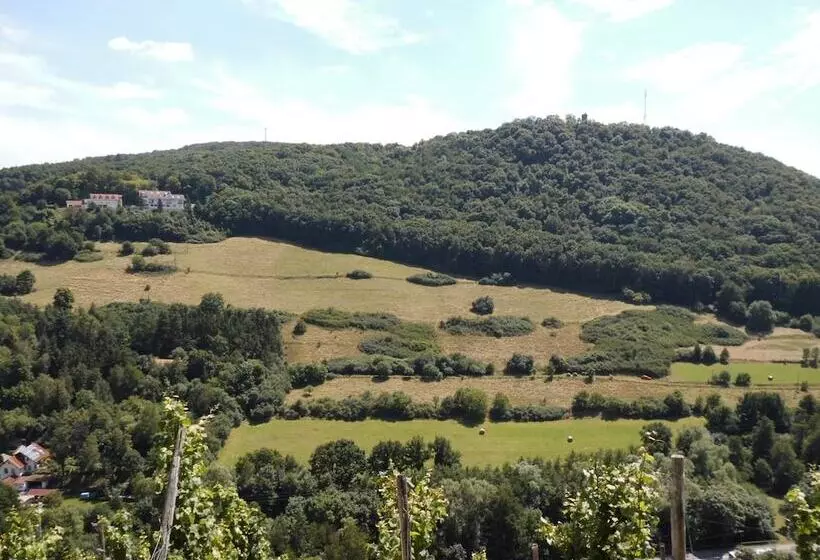 בית מלון כפרי Burg