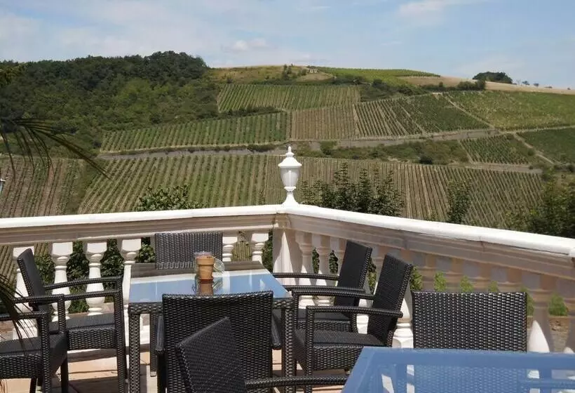 בית מלון כפרי Burg