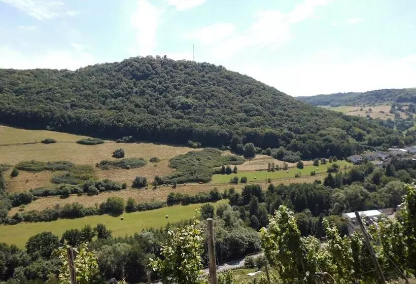 בית מלון כפרי Burg