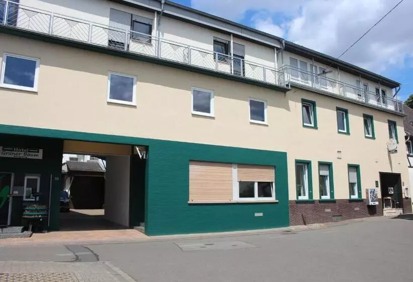 בית מלון כפרי Grüner Baum