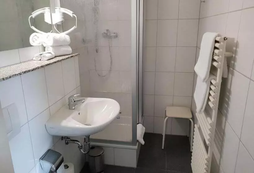 בית מלון כפרי Grüner Baum