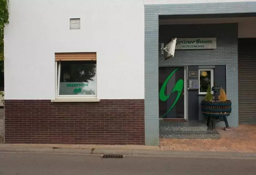 בית מלון כפרי Grüner Baum