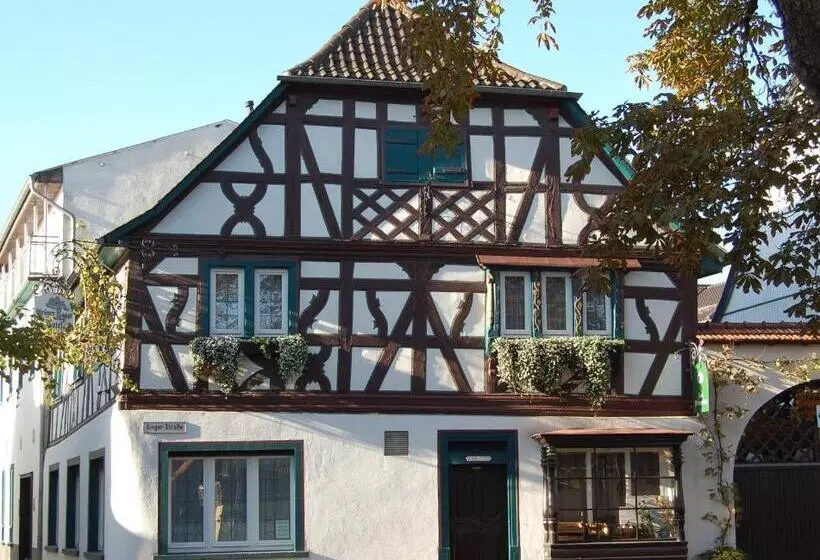 בית מלון כפרי Grüner Baum