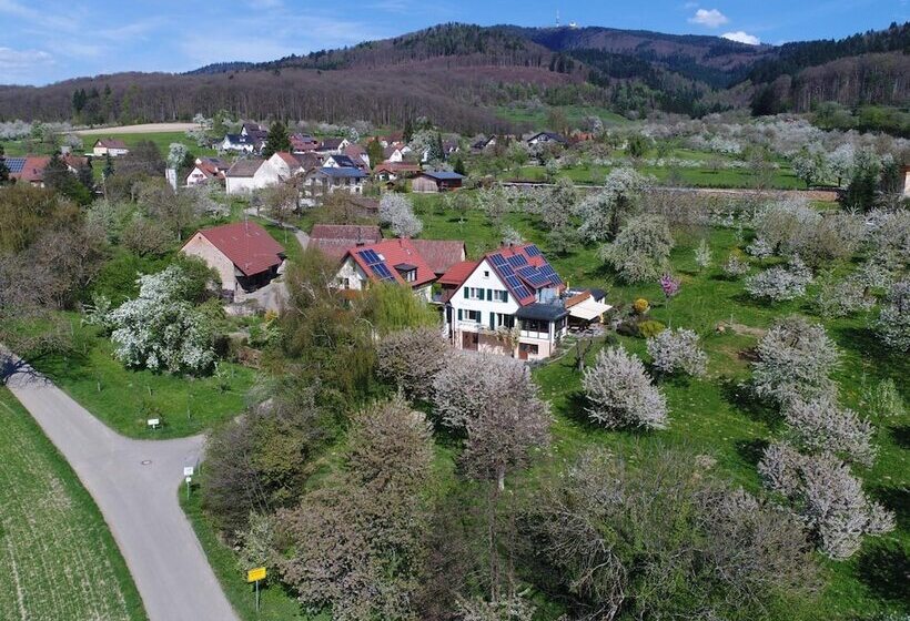 호텔 Haus Am Blauenbach