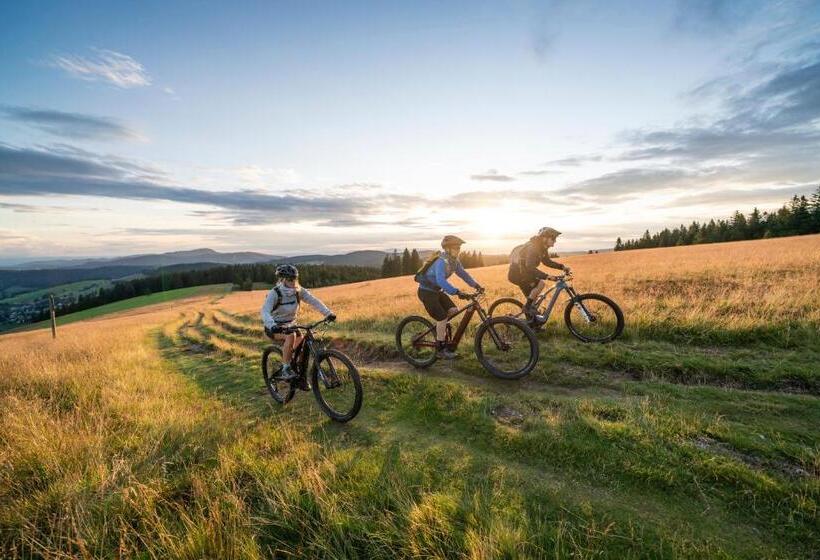 Hotel Restaurant Zur Sonne St. Peter