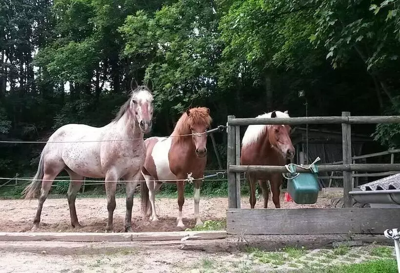 Landhotel Am Wenzelbach