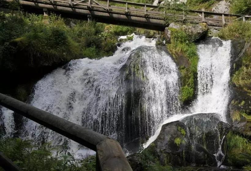 펜션 Gasthaus Rebstock