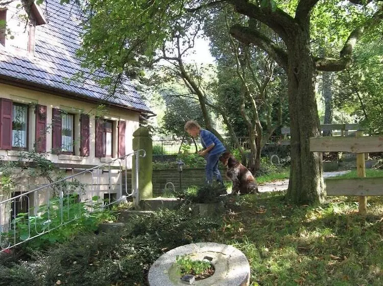 펜션 Gasthaus Zur Ölmühle