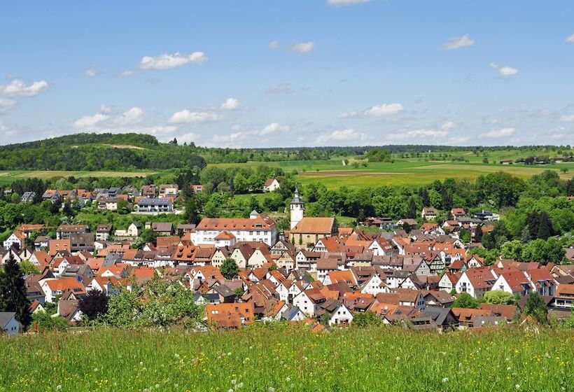 펜션 Landgasthof Hotel Rössle