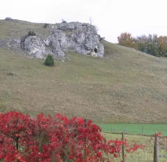 بنسيون Sontheimer Wirtshäusle