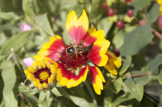 膳宿费 Bäckerhäusl Gasthof