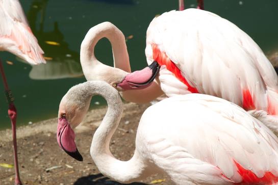 膳宿费 Bäckerhäusl Gasthof