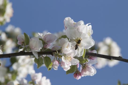 膳宿费 Bäckerhäusl Gasthof