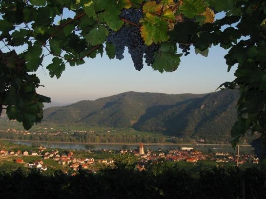 Пансион Winzerhof & Gästehaus Bernhard