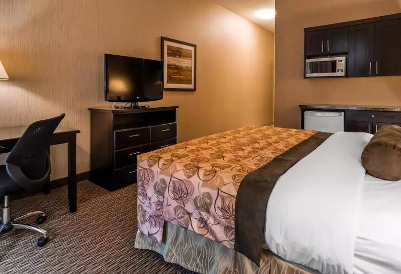호텔 Best Western Plus Estevan Inn & Suites