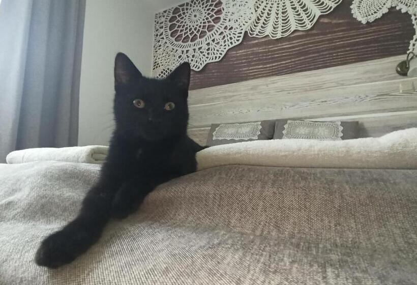 Отель Dwór Wapowce